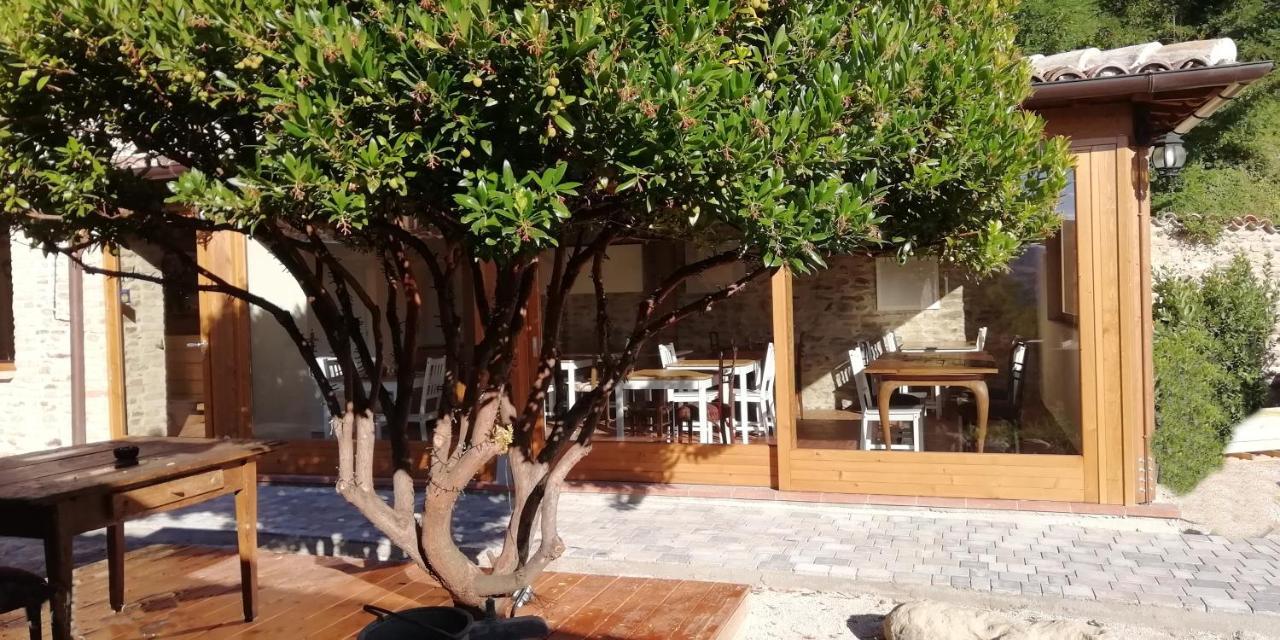 Country House Ca' Vernaccia Hostal Urbino Exterior foto