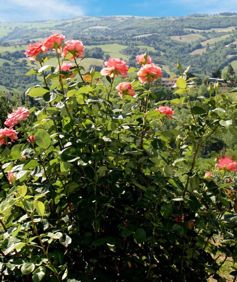 Country House Ca' Vernaccia Hostal Urbino Exterior foto
