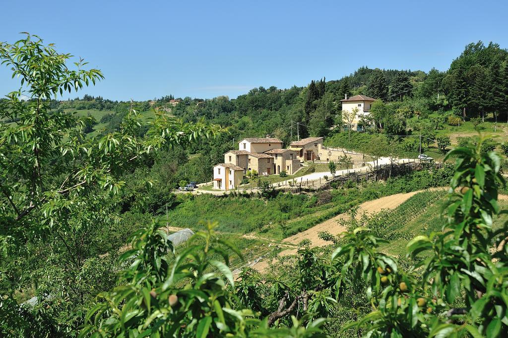 Country House Ca' Vernaccia Hostal Urbino Exterior foto